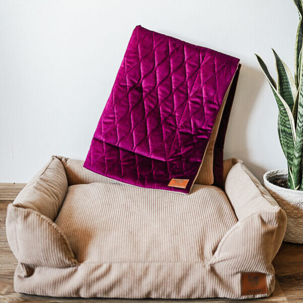 Zestaw kremowy legowisko i narzutka Bunia