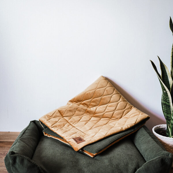 Zestaw khaki legowisko i narzutka Bunia